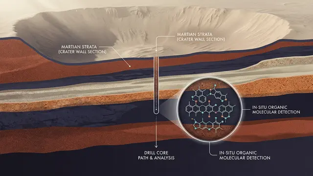 Curiosity’s Molecular Discovery in the Gale Crater