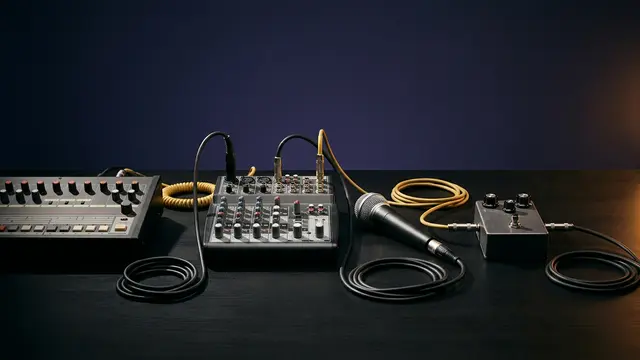The Hybridization of Electronic Performance at Coachella
